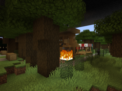 Bifogad bild