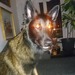 Bifogad bild
