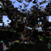 Bifogad bild