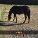 Bifogad bild