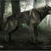 Bifogad bild
