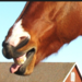 Bifogad bild
