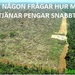 Bifogad bild