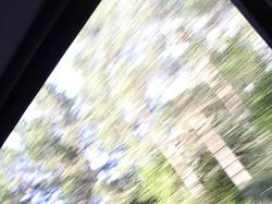 Bifogad bild