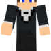 Bifogad bild