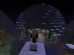 Bifogad bild