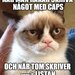 Bifogad bild