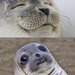 Bifogad bild