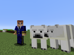 Bifogad bild