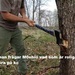 Bifogad bild