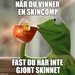 Bifogad bild