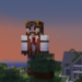 Bifogad bild