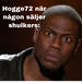 Bifogad bild