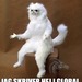 Bifogad bild