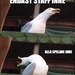 Bifogad bild