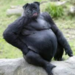 Bifogad bild