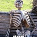 Bifogad bild