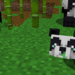 Bifogad bild