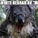 Bifogad bild