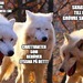 Bifogad bild