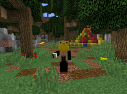 Bifogad bild