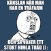 Bifogad bild