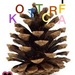 Bifogad bild