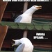 Bifogad bild