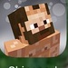 Bifogad bild