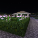 Bifogad bild