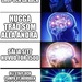 Bifogad bild